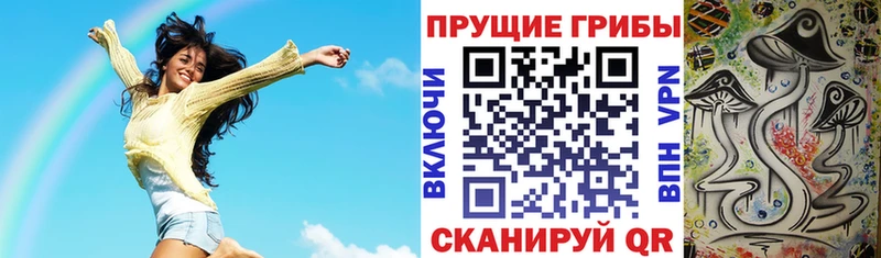 Галлюциногенные грибы Cubensis  Белорецк 
